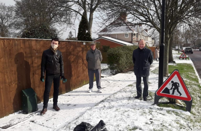 Trio in Snow 