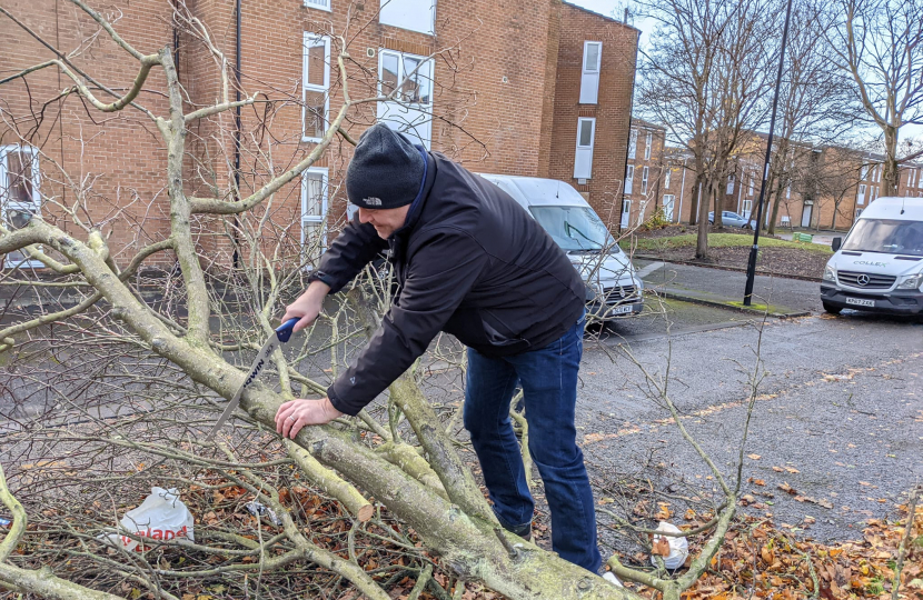 Peter cutting a tree 